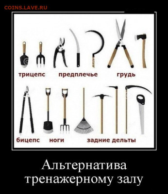 юмор - 1551243085_003