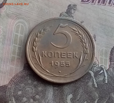 5 копеек 1955. До 10.2.22 в 22.00 - 20220207_135512