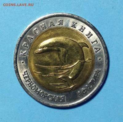 50р 1993г КК Черноморская афалина. До 09.02.22 - IMG_9957.JPG