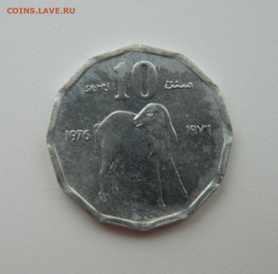 Сомали 10 центов 1976 г. (Фауна)  до 10.02.22 - DSCN2746.JPG