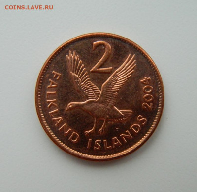 Фолклендские острова 2 пенса 2004 г. (Фауна). до 14.02.22 - DSCN2740.JPG