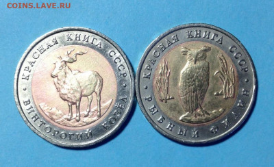 5р 1991г КК Филин и Козел. До 10.02.22 - IMG_9972.JPG