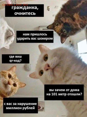 делает - прямо сейчас !!! - 2020-05-06-1588785526
