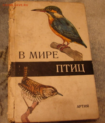Атлас птиц. 1963 г. До 15.02.22.   22-00 - DSC07481.JPG