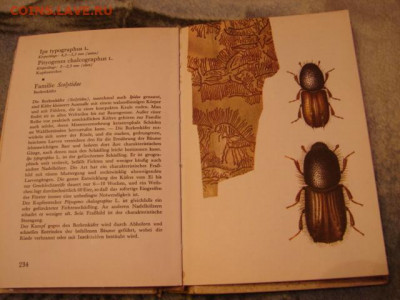 Книга Атлас жуков (англ.яз.) 1969. До 15.02.22.   22-00 - DSC07489.JPG