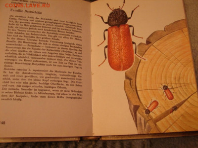 Книга Атлас жуков (англ.яз.) 1969. До 15.02.22.   22-00 - DSC07488.JPG