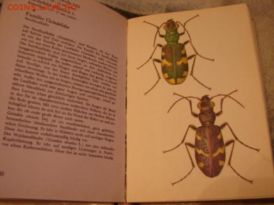 Книга Атлас жуков (англ.яз.) 1969. До 15.02.22.   22-00 - DSC07487.JPG