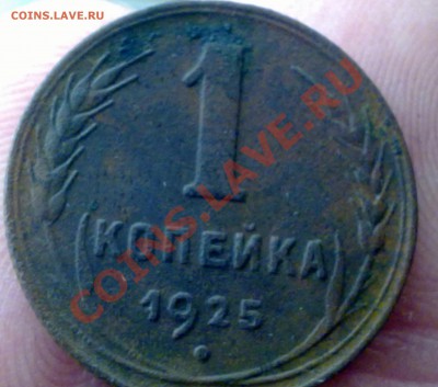1 коп. 1925г. подлиность и цену? - 101120112628