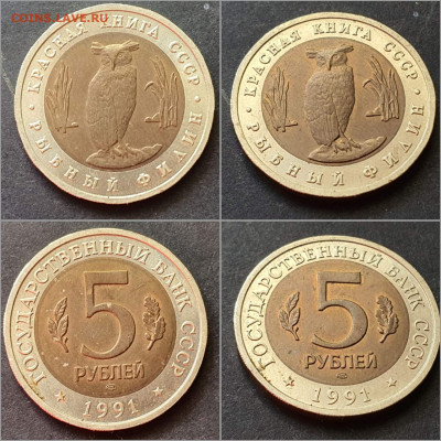 Рыбный Филин 5 рублей 1991 год. В коллекцию. До 11.02 - IMG_20220204_164541