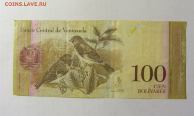 100 боливар 2015 Венесуэла (559) 13.02.2022 22:00 МСК - CIMG7049.JPG