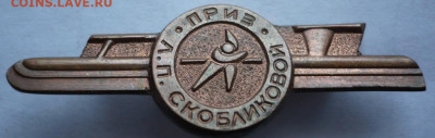 Приз Л.П. Скобликовой значок бронза оценка - P1450911.JPG