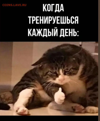 юмор - Screenshot_20220210-220232_Instagram