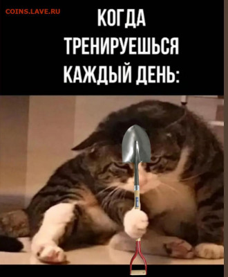 юмор - Screenshot_20220210-220232_Instagram