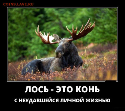 юмор - b10107c3bc32a118b41f5c54ce0174d6