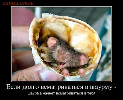 юмор - 4444