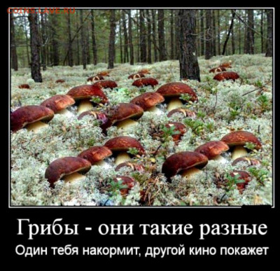 юмор - anekdot2