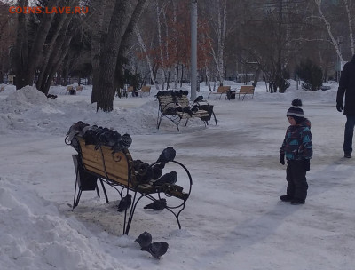 юмор - IMG_20220211_125407_1