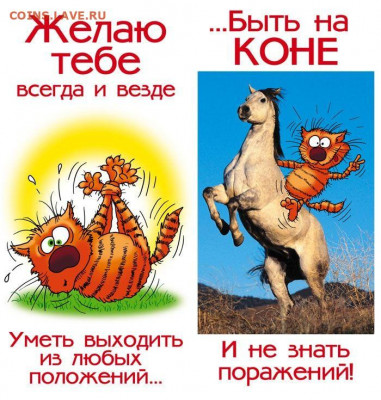 Че_Буратор, С Днём Рождения!!! - prikolnye-kartinki-s-dnyom-rozhdeniya_20