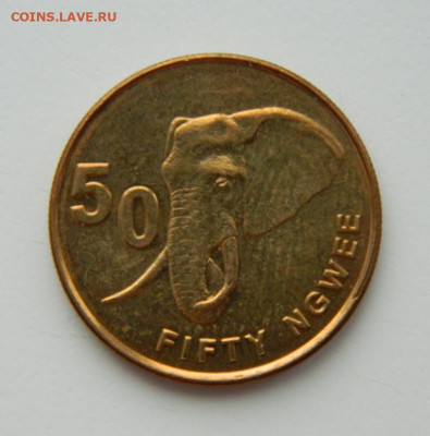 Замбия 50 нгве 2012 г. (Фауна) до 17.02.22 - DSCN2698.JPG