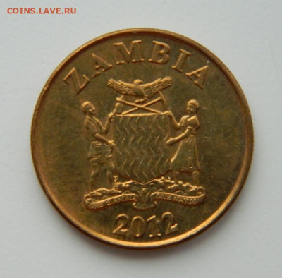 Замбия 50 нгве 2012 г. (Фауна) до 17.02.22 - DSCN2699.JPG