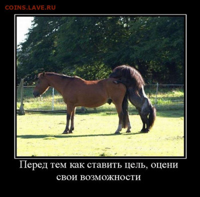 юмор - demotivatory_06