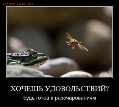 Мудрые изречения. - 1438891782_c5cedb1d2e