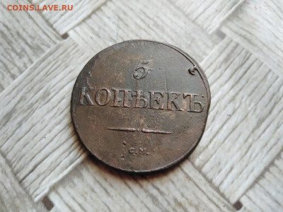 5 копеек 1831 СМ до 16.02.2022 - 1831 (61) - копия