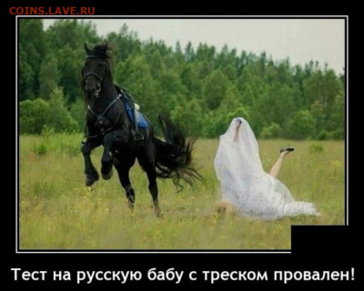 юмор - a-vot-i-flag-goda-26-foto-demotivatory_5