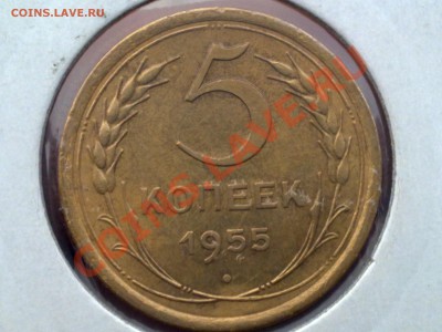 5 копеек 1955г    до 13.11.11г 21:00 - 111120112639