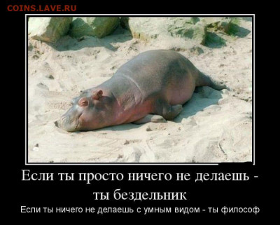 юмор - 83cc0ccdbd2452839b5eab5f9d59f659