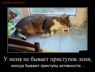 юмор - 1510558969_demotivatory-12