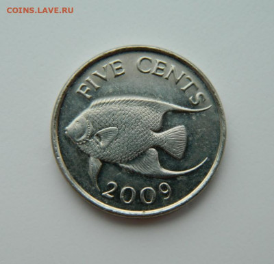Бермудские острова 5 центов 2009 г. (Фауна). до 17.02.22 - DSCN2838.JPG