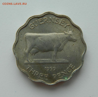 Гернси 3 пенса 1959 г.(Фауна). до 17.02.22 - DSCN2867.JPG