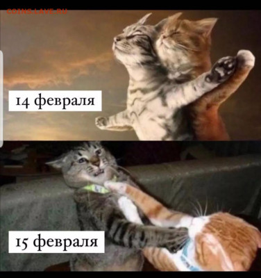 юмор - Screenshot_20220214-214718_Instagram