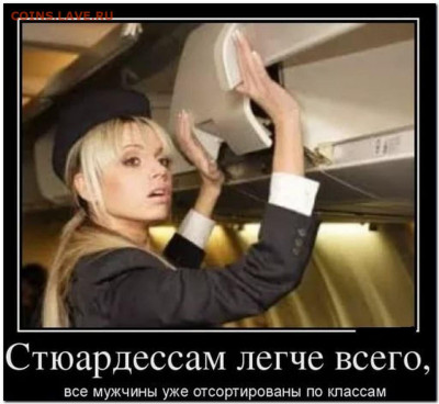 юмор - 2806388567
