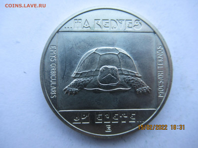 ВЕНГРИЯ 100 форинтов 1985 Черепаха до 18.02 в 22.00 мск - ин 013.JPG