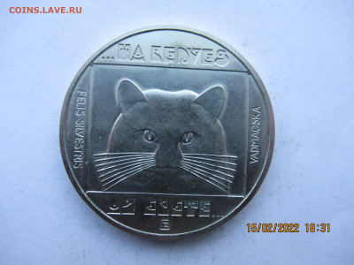 ВЕНГРИЯ 100 форинтов 1985 Кошка до 18.02 в 22.00 мск - ин 015.JPG