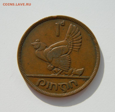 Ирландия 1 пенни 1942 г. (Фауна) до 21.02.22 - DSCN2902.JPG