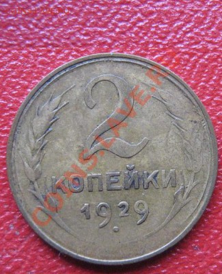 11.11.11 - IMG_1920