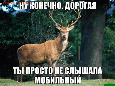 юмор - olen_43238872_orig_