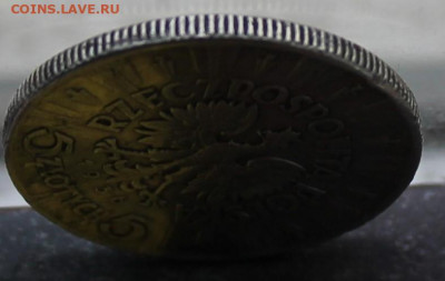 Польша 5 злотых 1936 год - IMG_1238.JPG