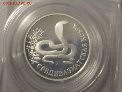 1р 1994г Красная книга- Кобра. Пруф запай, Ag900, до 20.02 - X Кобра зап-1