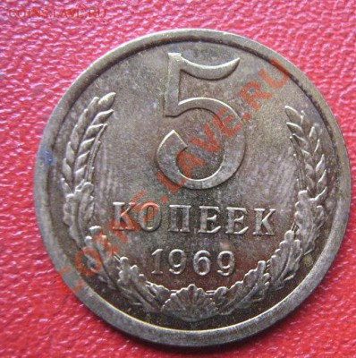 11.11.11 г - IMG_2005