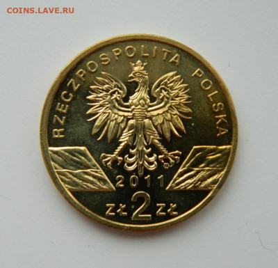 Польша 2 злотых 2011 г. (Юбилейная) Барсук до 21.02.22 - DSCN1861.JPG