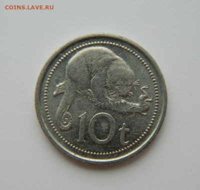 Папуа-Новая Гвинея 10 тойя 2009 г. (Фауна). до 22.02.22 - DSCN2829.JPG
