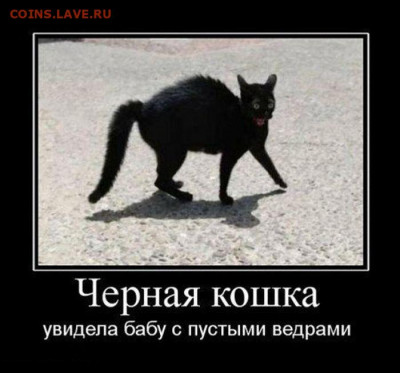 юмор - e4d8274f2d81a9bcfc8cae4c1c1773f0