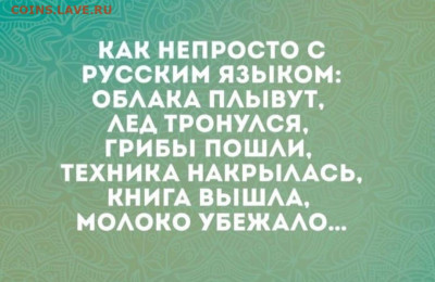юмор - IMG-20220217-WA0004