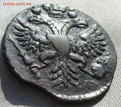 Денга 1731 года До 18.02.22 в 22.00 МСК - P1650002.JPG