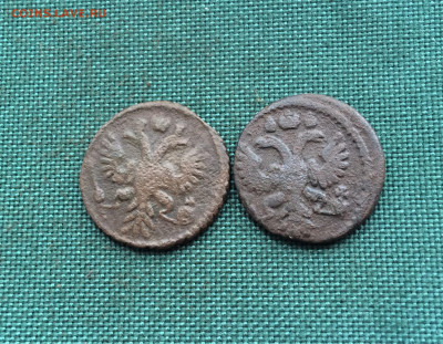 Полушка 1734,1735г. Анна Иоанновна. (А87) 21.02 - WhMlY1j0da8