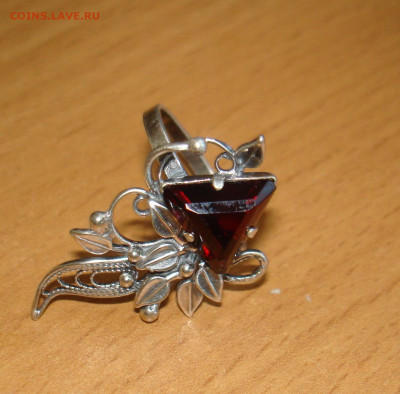 кольцо опознание - DSC00521.JPG